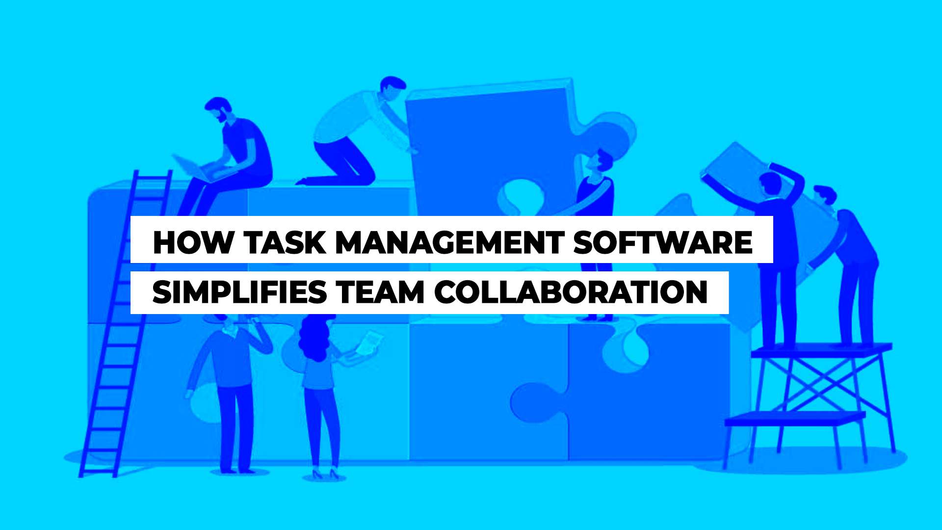 how task management software simplifies team collab
